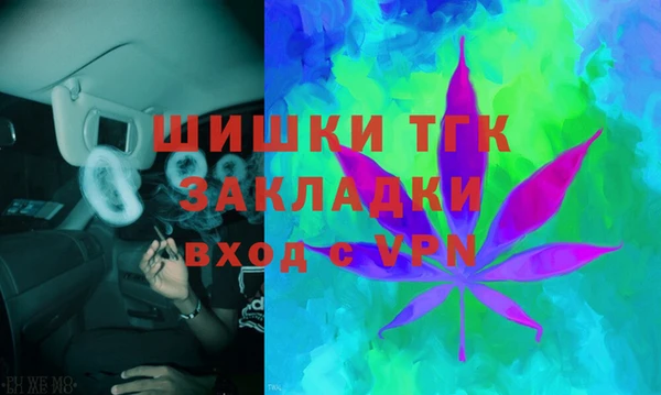 ГАЛЛЮЦИНОГЕННЫЕ ГРИБЫ Заволжье