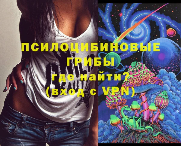 ГАЛЛЮЦИНОГЕННЫЕ ГРИБЫ Заволжье
