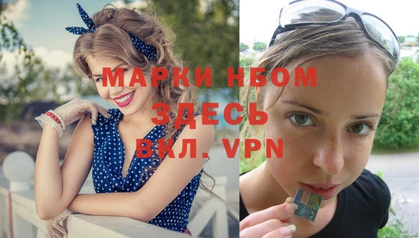 ГАЛЛЮЦИНОГЕННЫЕ ГРИБЫ Заволжье