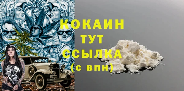 ГАЛЛЮЦИНОГЕННЫЕ ГРИБЫ Заволжье