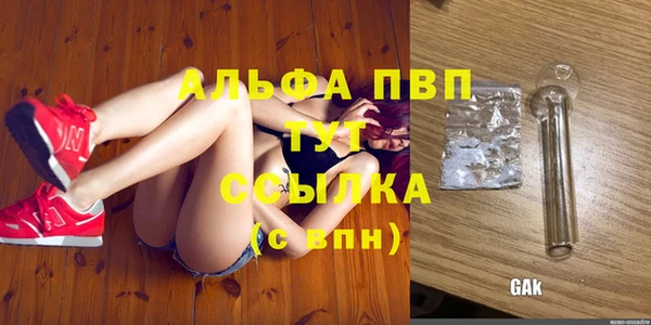 ГАЛЛЮЦИНОГЕННЫЕ ГРИБЫ Заволжье