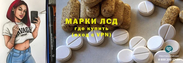 ГАЛЛЮЦИНОГЕННЫЕ ГРИБЫ Заволжье